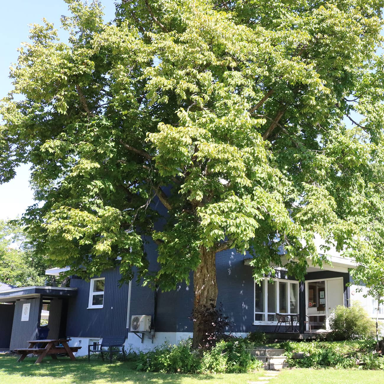 S'initier à la Maison l’Éclaircie